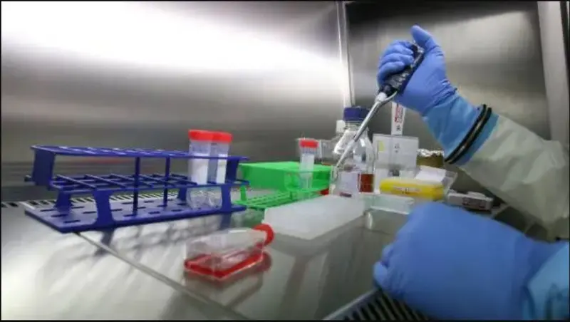 L’OMS alerte sur une possible épidémie de Marburg en Tanzanie
