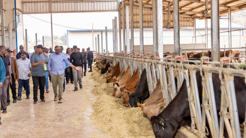 Le Premier ministre Nsengiyumva conclut sa tournée à l’Est par une visite au Gabiro Agribusiness Hub