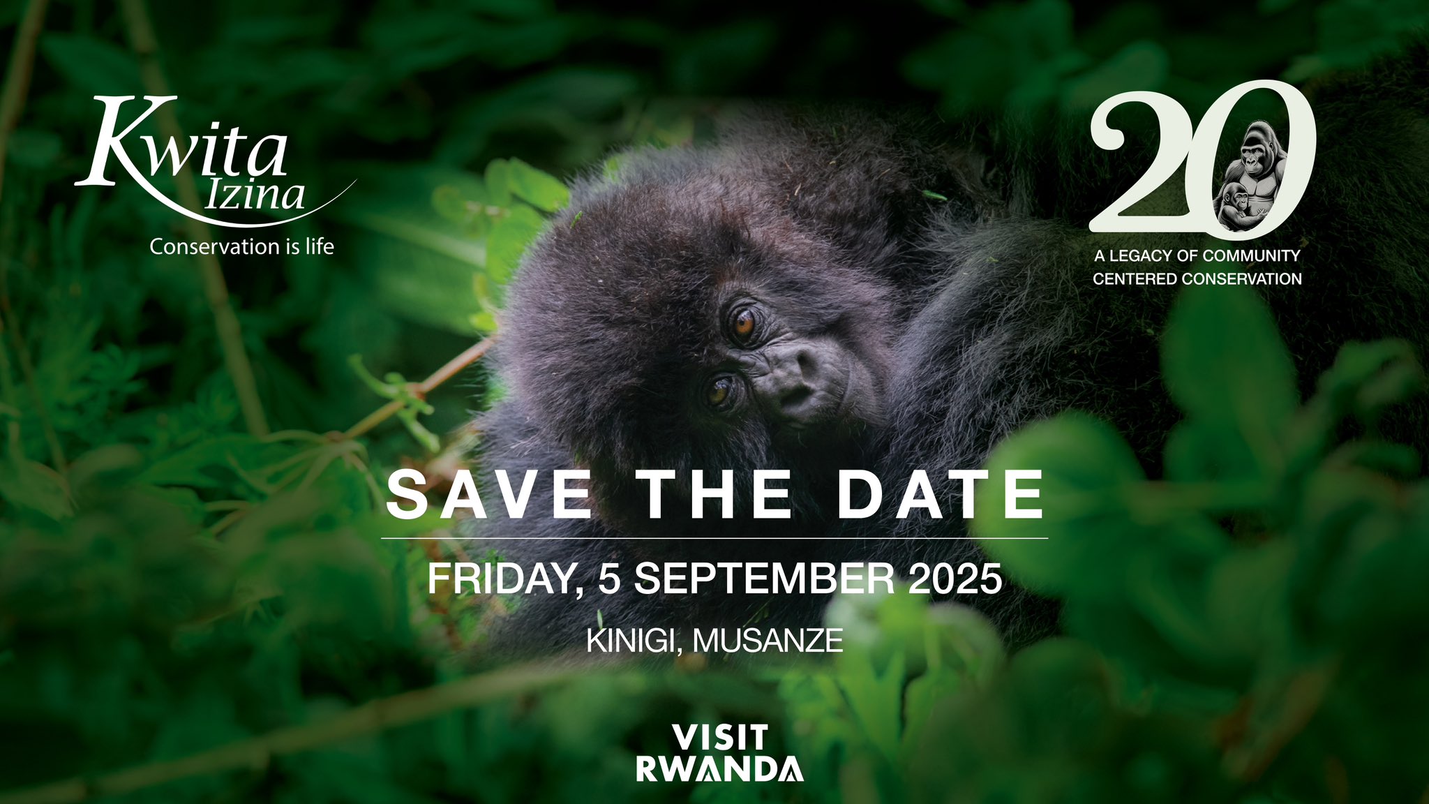 Kwita Izina 2025: 40 bébés gorilles et 20ᵉ anniversaire célébrés le 5 septembre à Kinigi – RDB