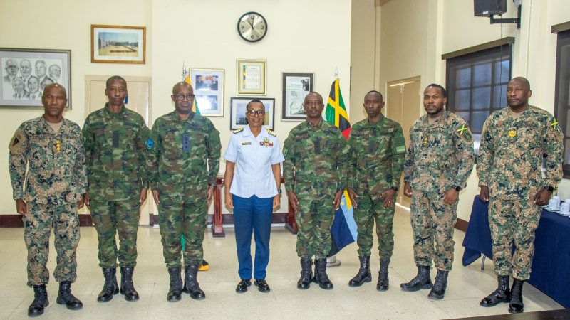 Jamaïque: les ingénieurs des RDF ont déjà construit 62 maisons et des salles de classe