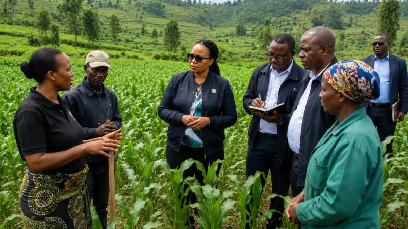 Des députés rwandais en mission de terrain pour évaluer les efforts d’accroissement de la productivité agricole