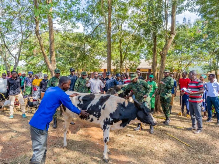 Les forces de défense du Rwanda et de la RNP font don de bétail aux populations de Kirehe et Kayonza