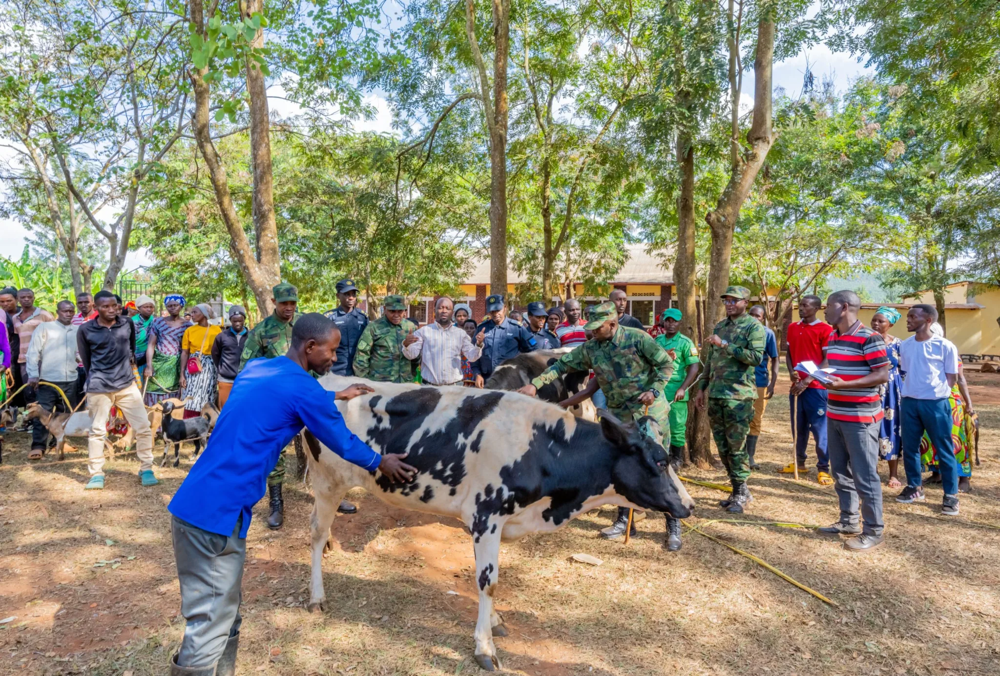 Les forces de défense du Rwanda et de la RNP font don de bétail aux populations de Kirehe et Kayonza