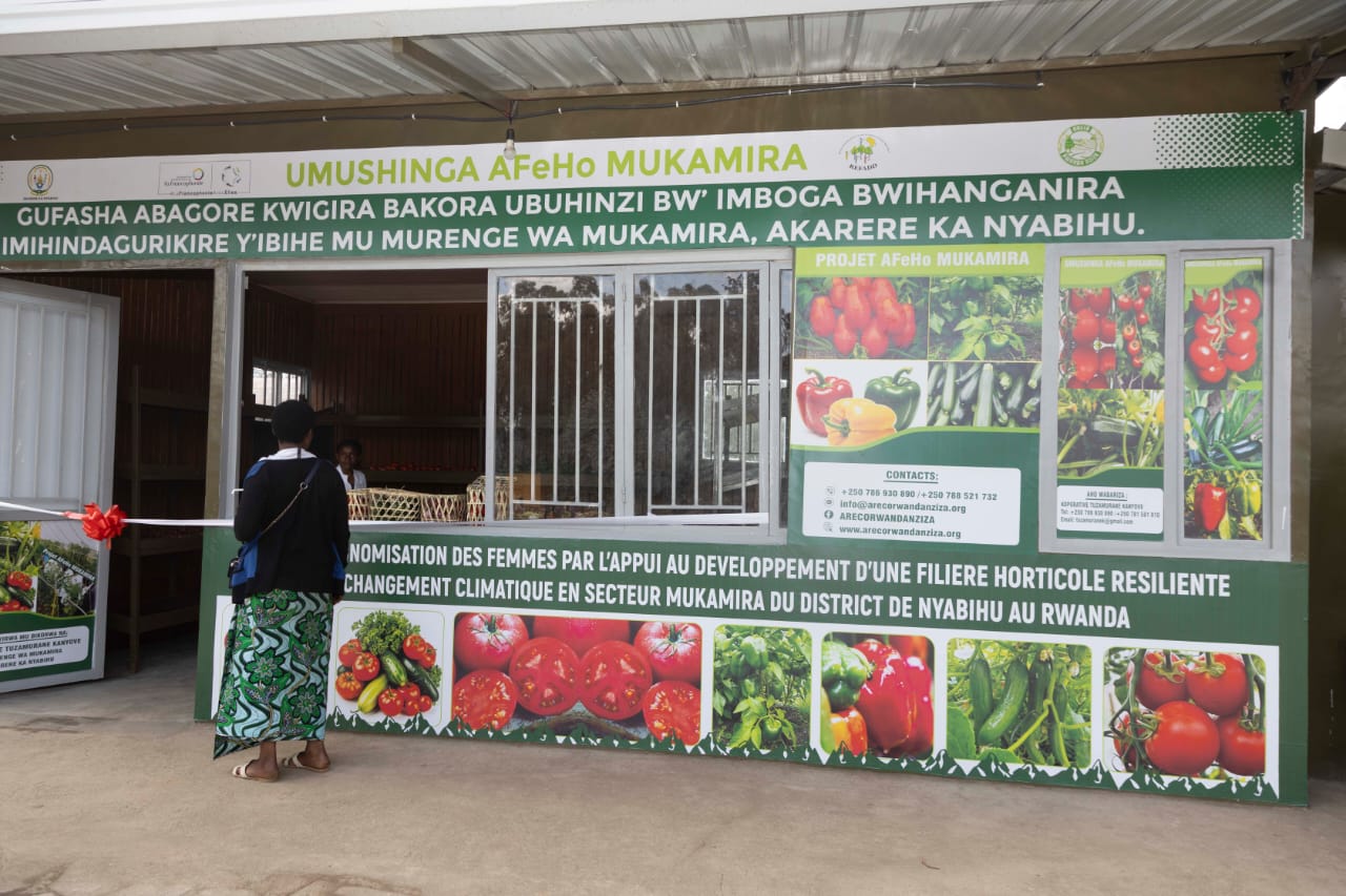 À Mukamira, les tomates deviennent un moteur d’autonomisation des femmes
