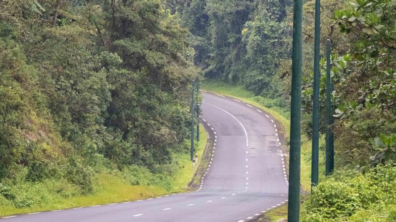 Perturbation du trafic dans la forêt de Nyungwe: l’axe Nyamasheke-Nyamagabe bloqué à la suite d’un accident