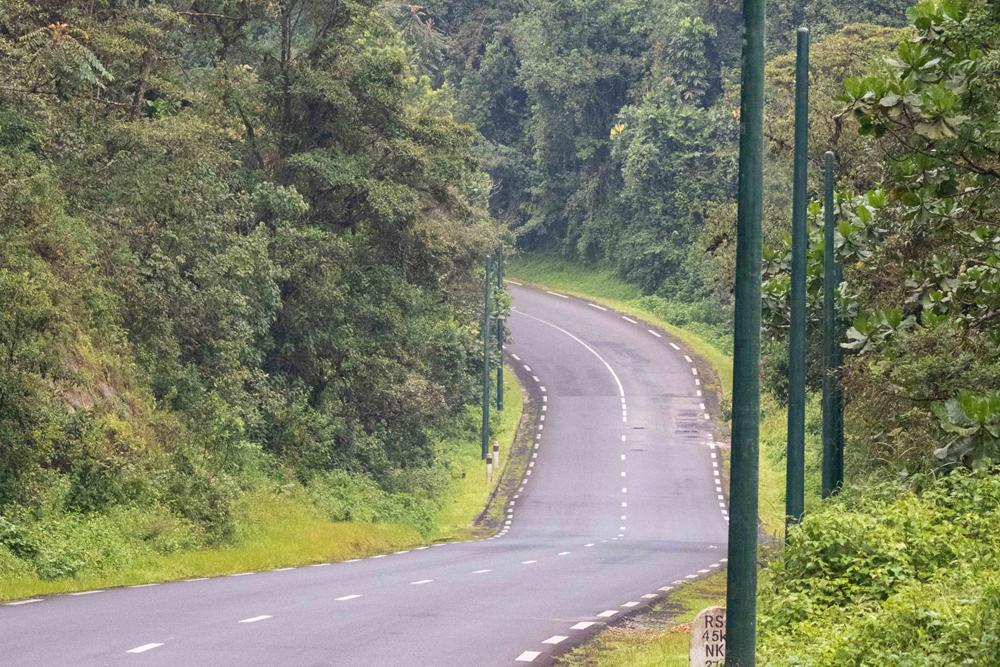 Perturbation du trafic dans la forêt de Nyungwe: l’axe Nyamasheke-Nyamagabe bloqué à la suite d’un accident